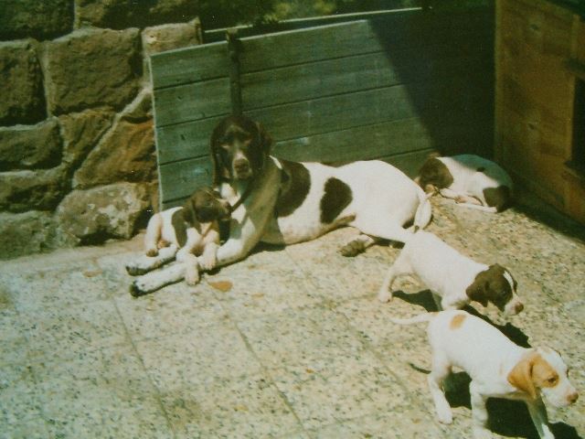 Cindy kistestvéreivel