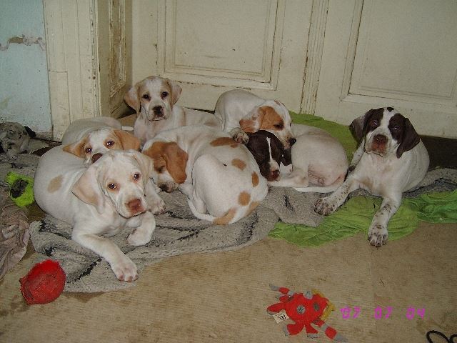 Még teljes a létszám