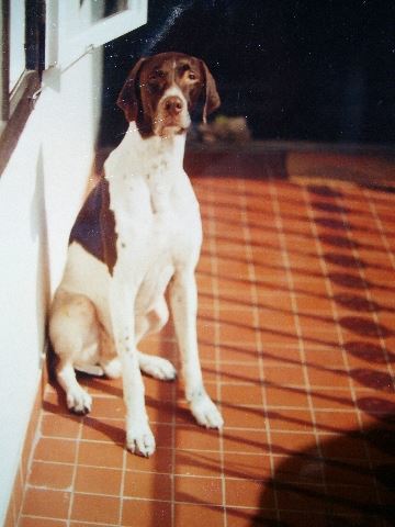 Eduárd-Jerry gazdáinál