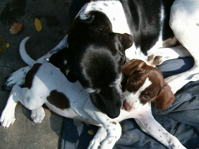 2004.október Ammily megérkezett