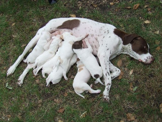 Először a szabadban, 3 hetesen.