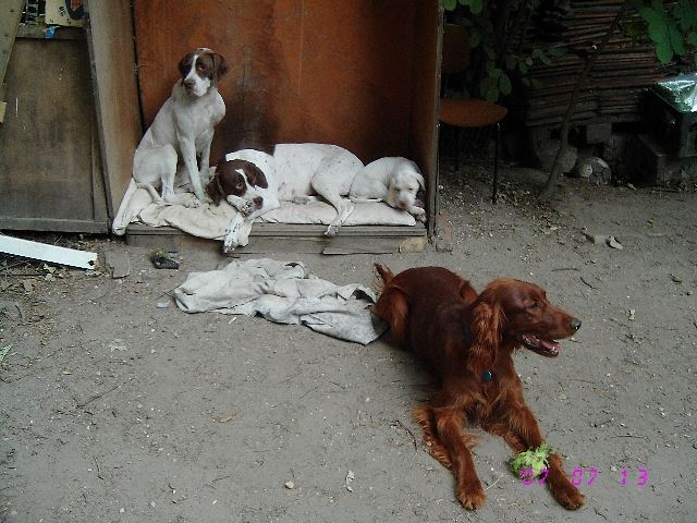 Együtt jó...2007.július