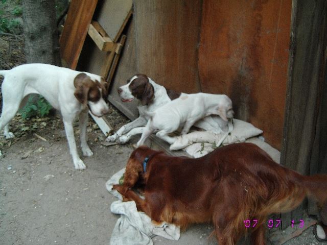 Együtt jó...2007.július