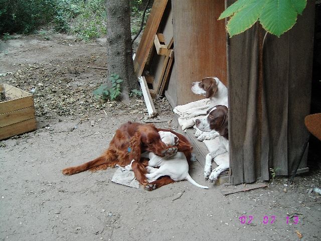 Együtt jó...2007.július