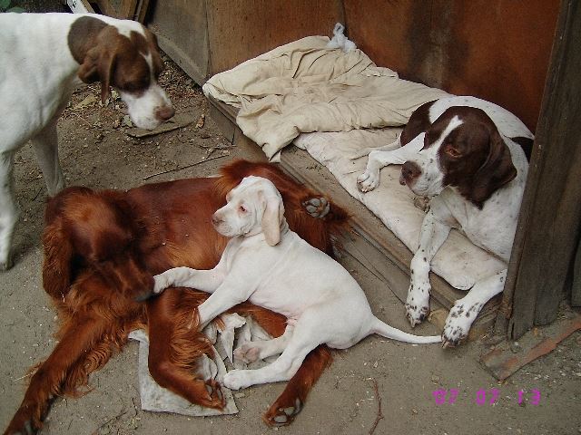 Együtt..2007.július
