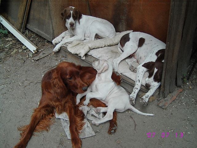 Együtt..2007.július