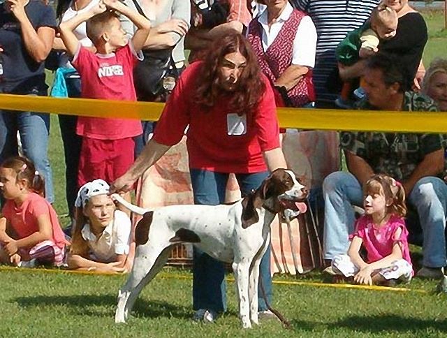 2005.szept.11. Balatonalmádi Fiatal Győztes,Fajtagyőztes