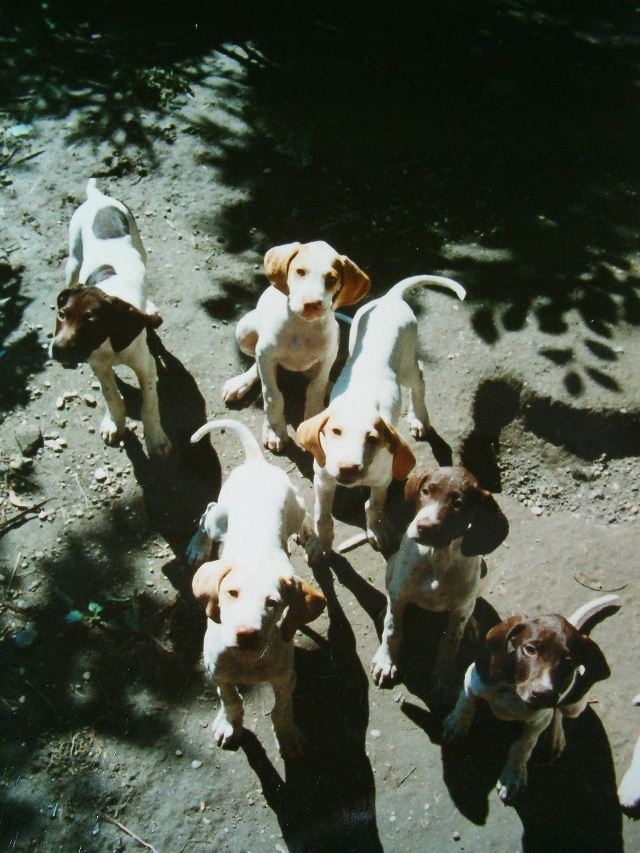 Cintia,Celli,Ceila,Csuti,Csuri,Cindy