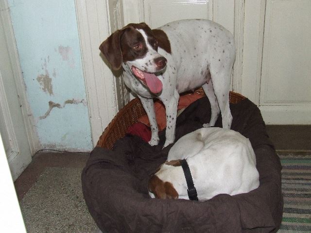 2007.05.13.Szülés előtt 