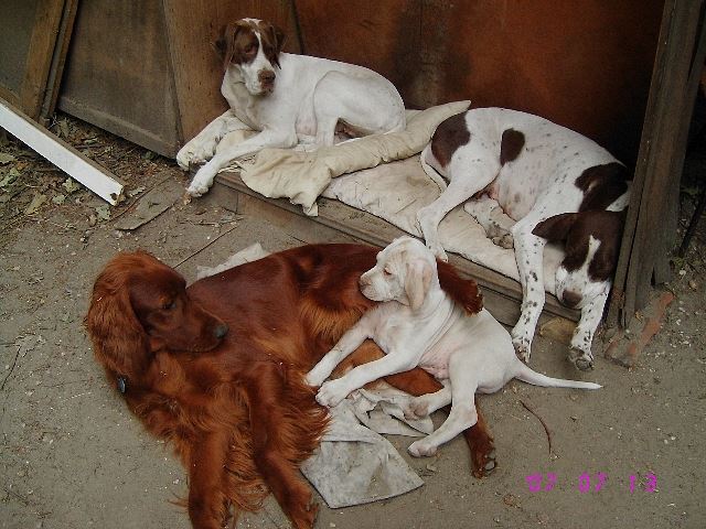 Együtt..2007.július