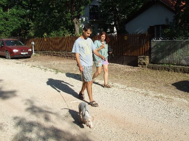 Iron első sétája a Balatonon (2007.júli vége)