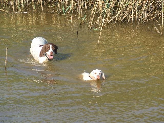 A Köcsi tóban (2007.aug.)