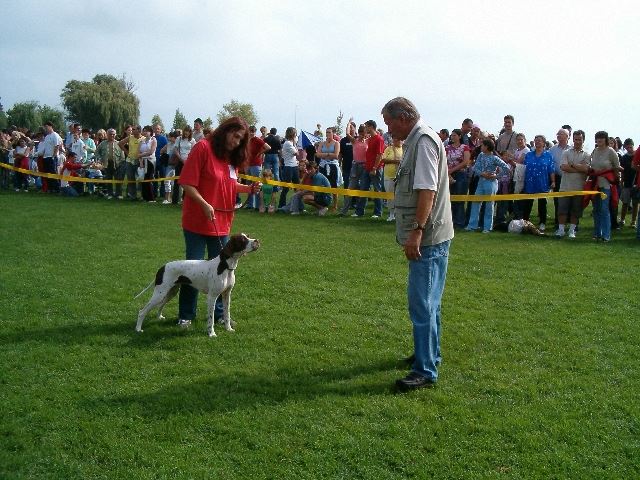 2005.szept.11. Balatonalmádi Fiatal Győztes,Fajtagyőztes