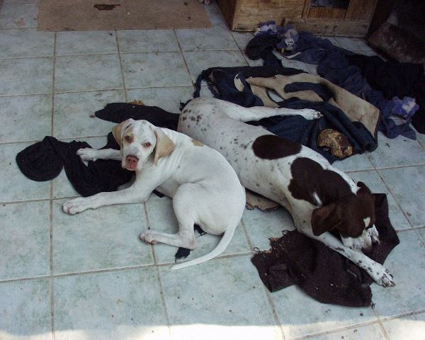 Iron és Ammily (2007.aug.)