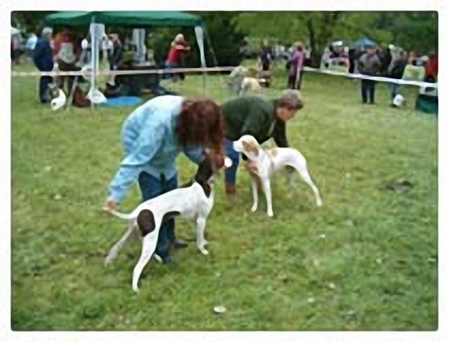 2005.szept.18. Mosonmagyaróvár HPJ