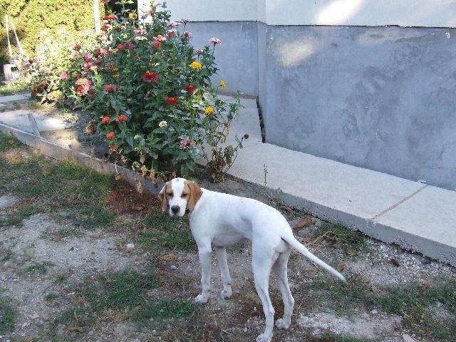 2007.10.14.Irisz-Felice otthonában