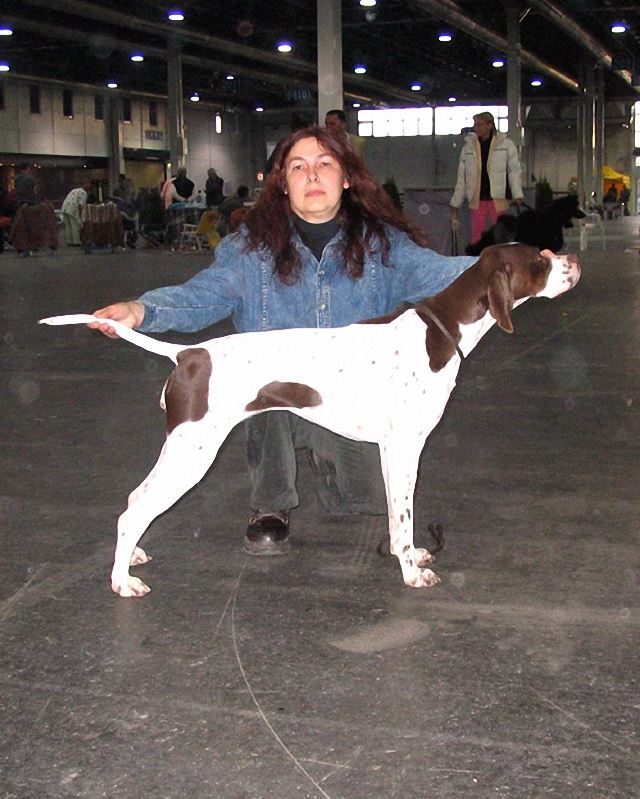 2005.dec.10. Bp Derby Kitűnő 2.