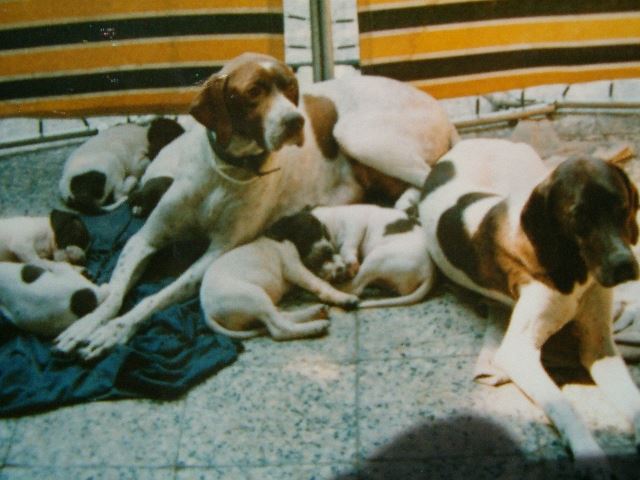 1990.Anka,Cindy és a D alom