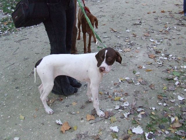 2007.10.14.Szentendre Izabella-Szellő és Luca