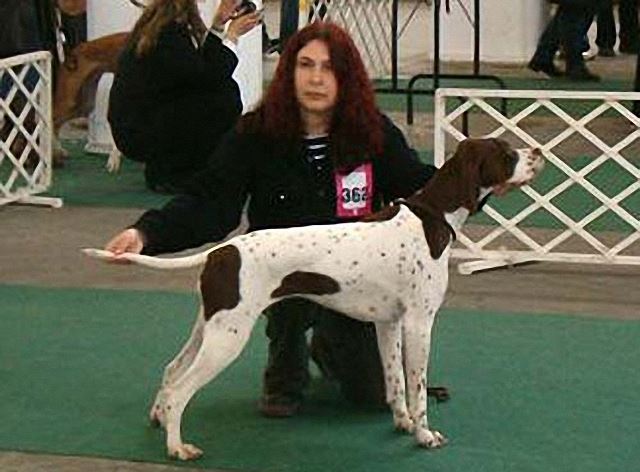 2006.márc.4. Bp FEHOVA - CAC,HFGY