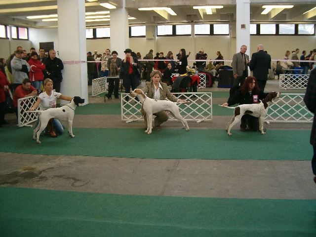 2006.márc.4. Bp FEHOVA - CAC,HFGY