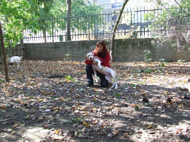 Utolsó napok Ironnal  2007.október vége