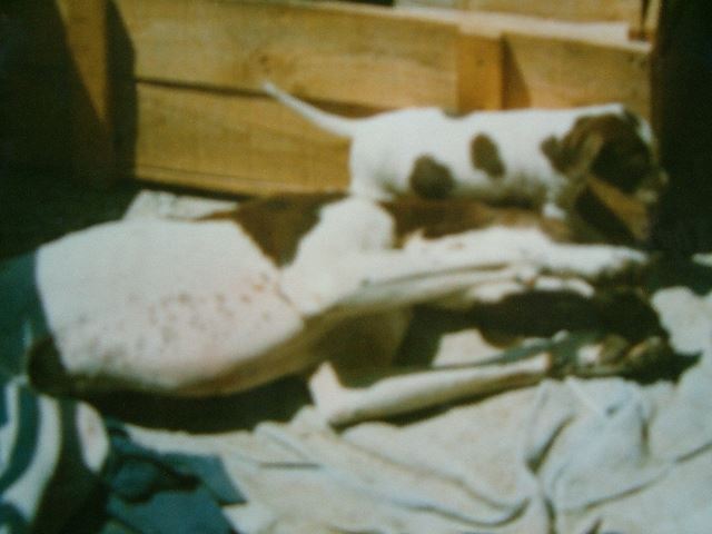 Cindy húgával,Diával