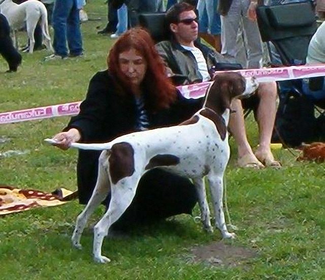 2006.június 11.Székesfehérvár - CAC