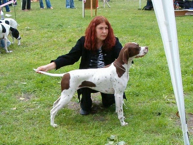 2006.június 11.Székesfehérvár - CAC