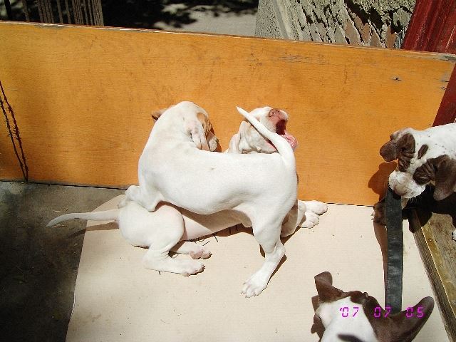 Játék (Igorral utoljára együtt)