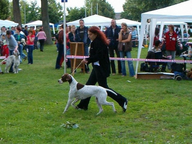 2006.június 11.Székesfehérvár - CAC