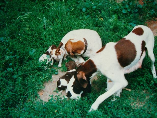 1993.Anka,Cindy és az F betűsök
