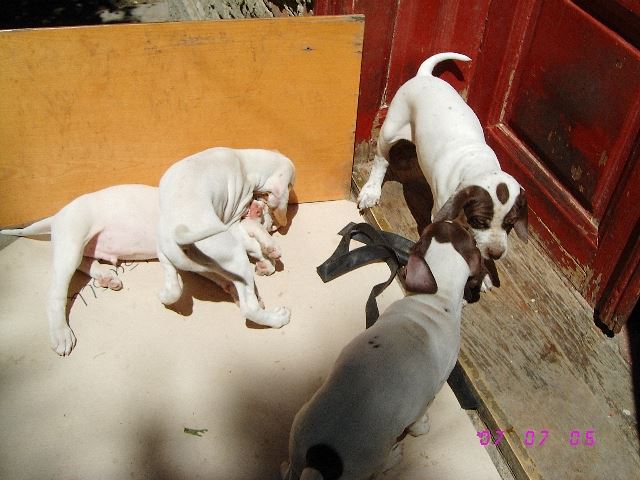 Játék (Igorral utoljára együtt)