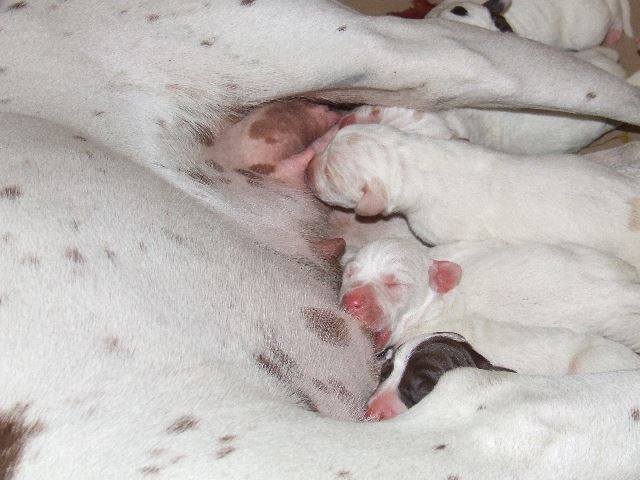 2007.05.14.1 naposak