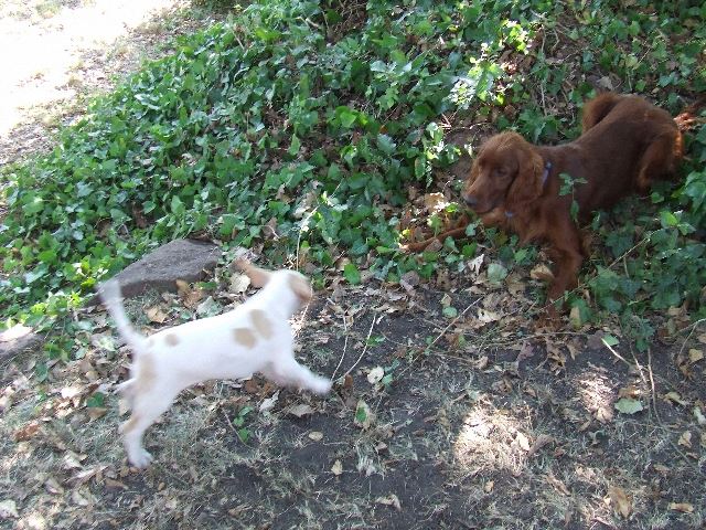 Kelly Izidorral barátkozik