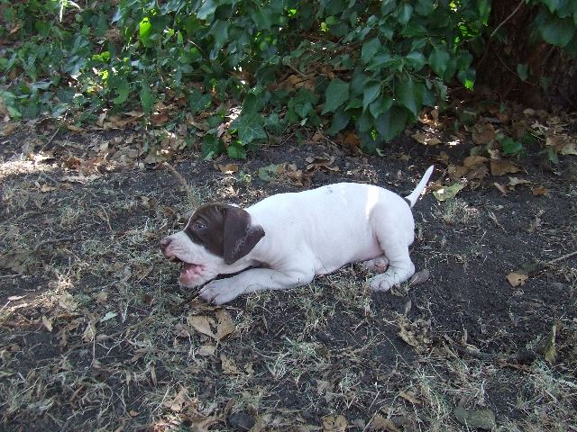 Izabella (6 hetes)