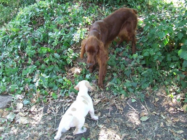 Kelly Izidorral barátkozik