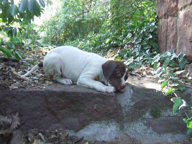 Izabella (6 hetes)
