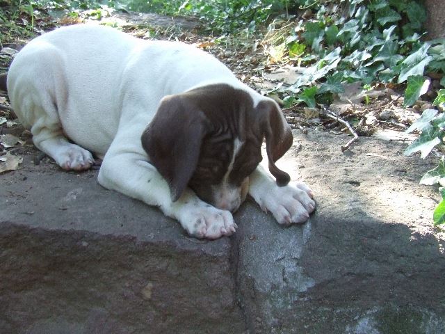 Izabella (6 hetes)