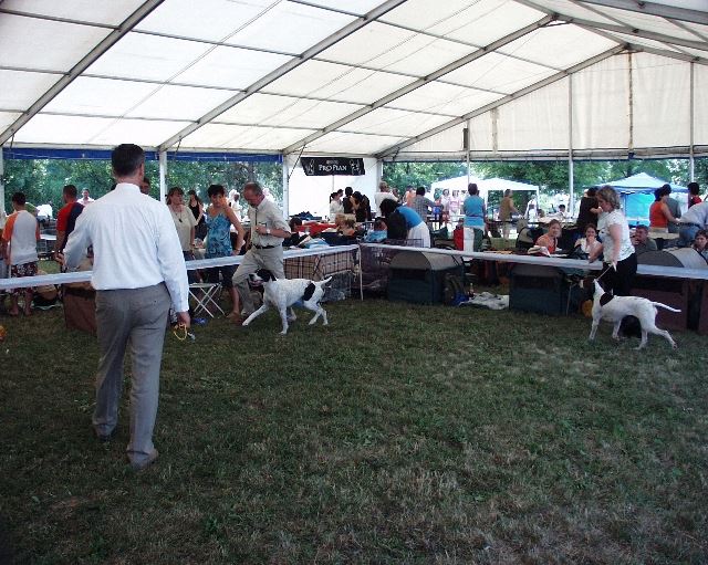 2006.júli 23. Szombathely - CAC,CACIB