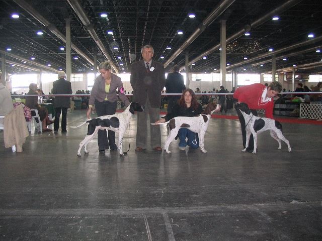 2006.10.21.Bp. Magyar Nagydíj CAC,CACIB