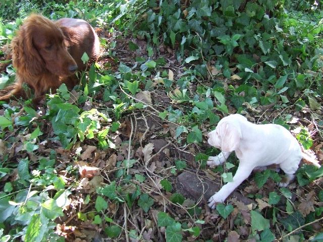 "Leszünk barátok?"