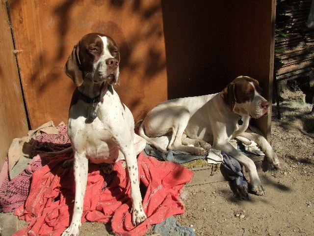 2007.április.Ammily és Viki kedvenc helyükön