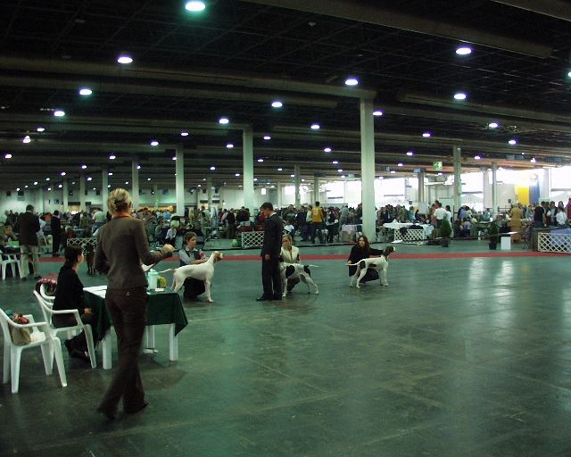 2006.10.22.Közép-Kelet-Eu.Kupa CAC,CACIB
