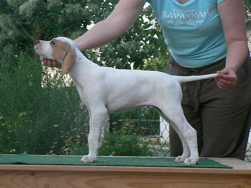 Irisz-Felice 9 hetes