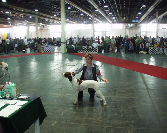 2006.10.22.Közép-Kelet-Eu.Kupa CAC,CACIB