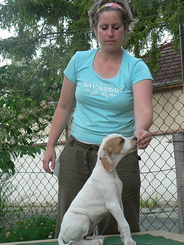 Irisz-Felice és a gazdi