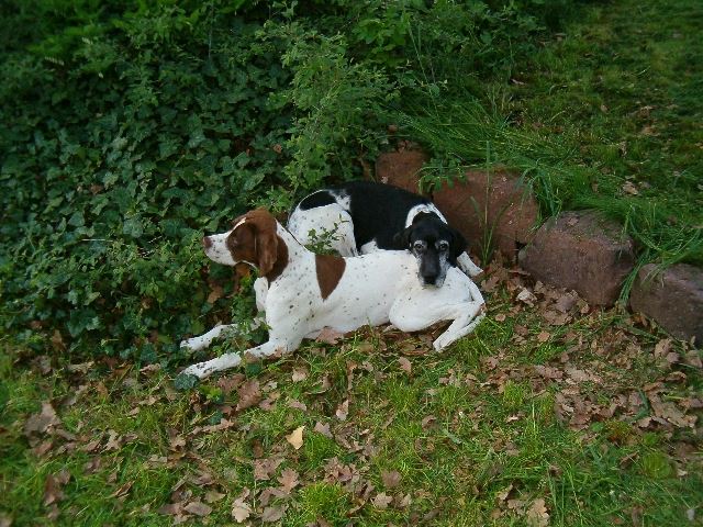 Ammily és Fedra pihen 