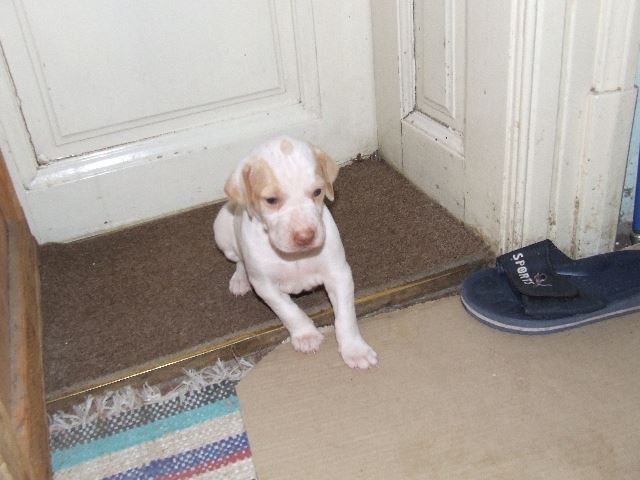 Iván