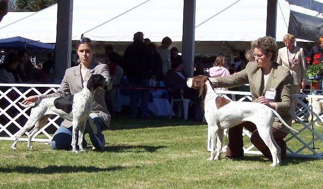 2007.04.09.Szilvásvárad - CAC, Res CACIB